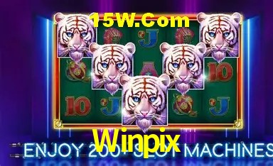 Login Seguro Winpix