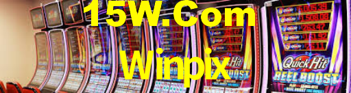 Programa VIP Winpix