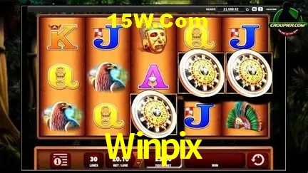 Sistemas de Segurança Winpix